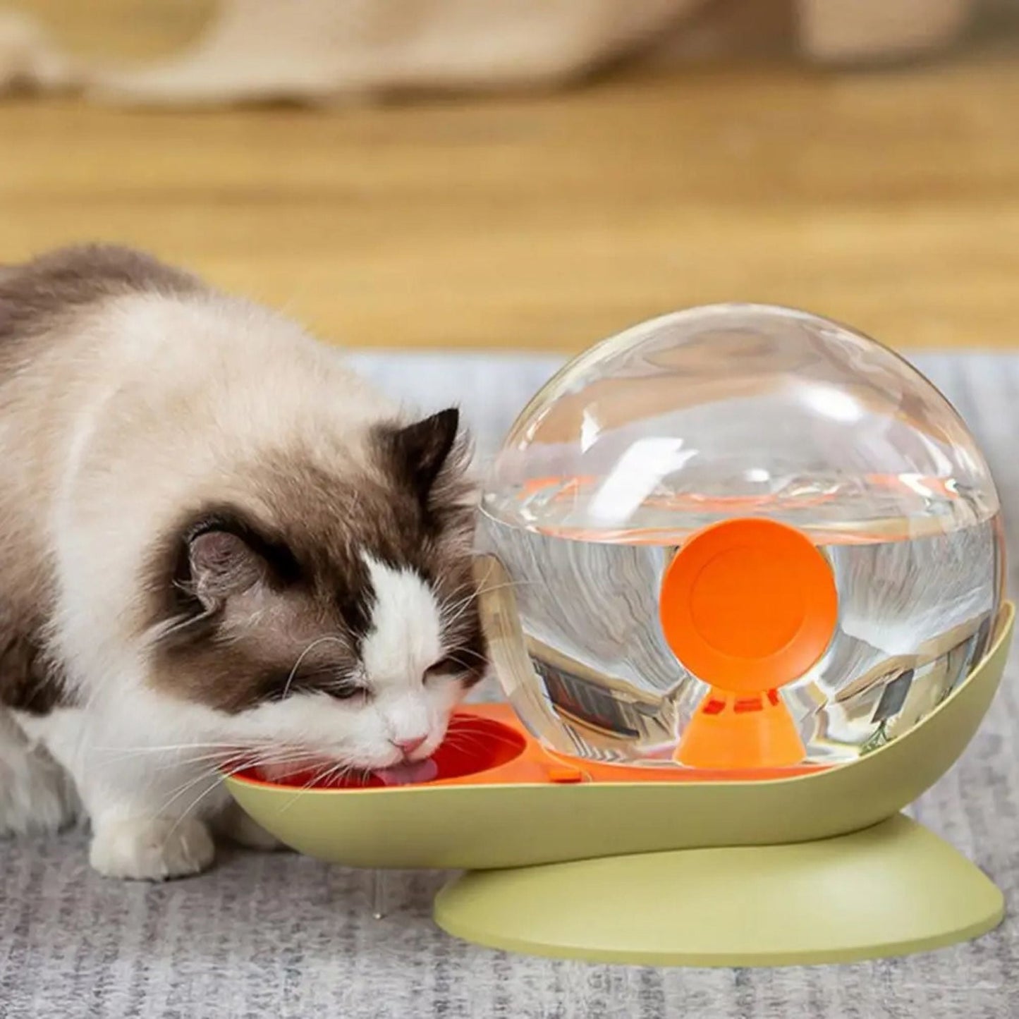 gamelle-chat-eau-escargot-pratique