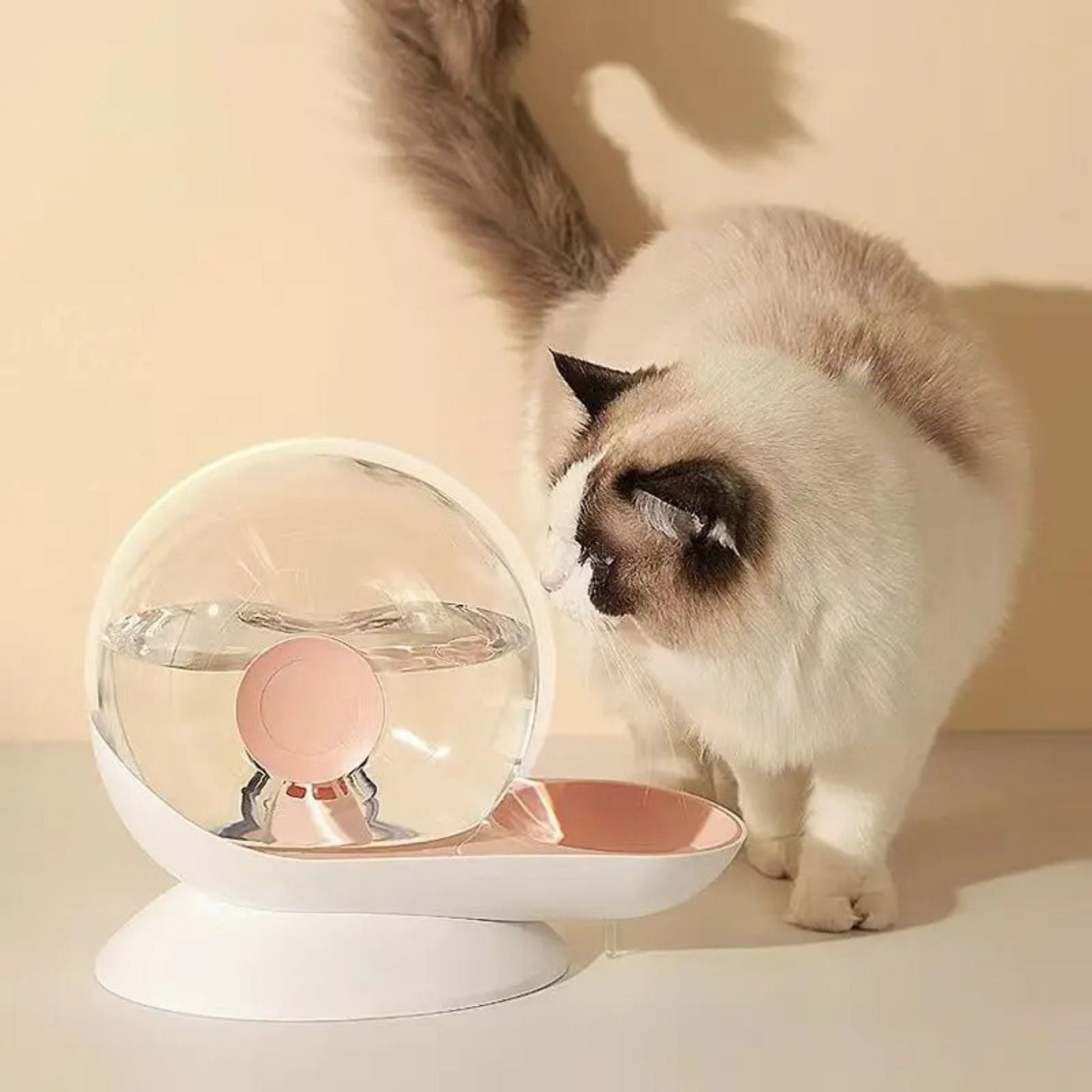 gamelle-chat-eau-escargot-rose-blanc