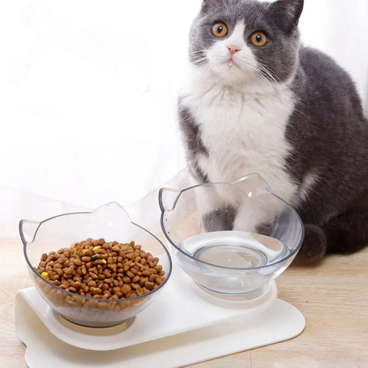 gamelle-chat-inclinée-double