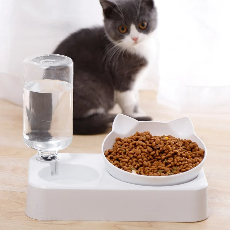 gamelle chat surélevée | DISTRIDOUBLE