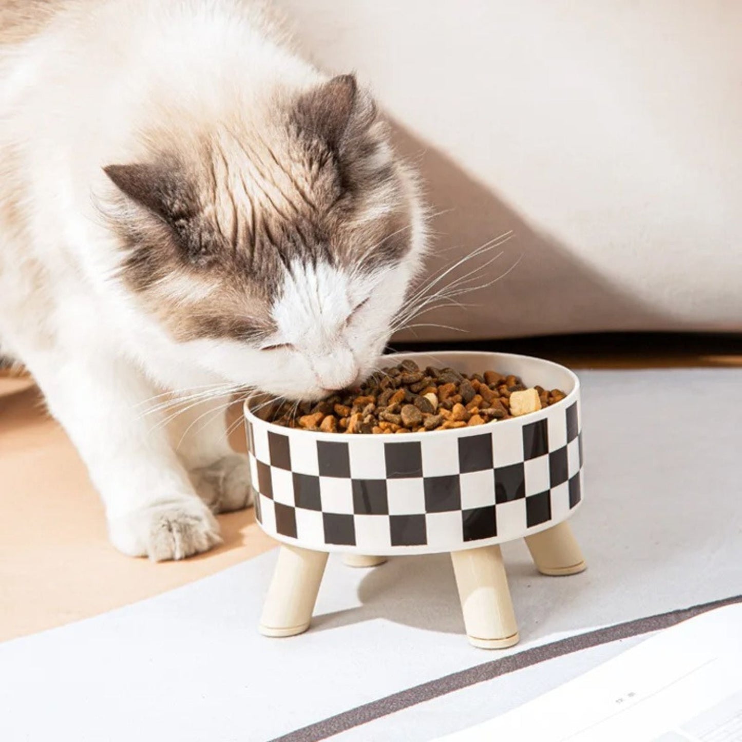 gamelle chat surélevée | POLKA FEED