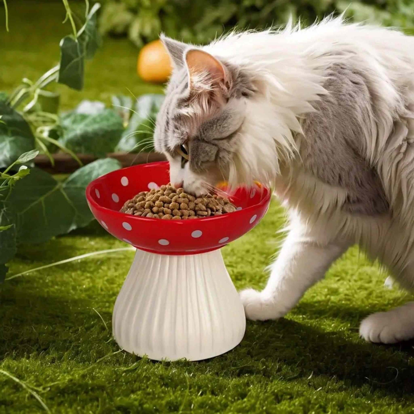 Gamelle chat surélevée champignon