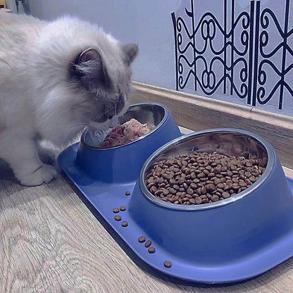 gamelle chat | chameal
