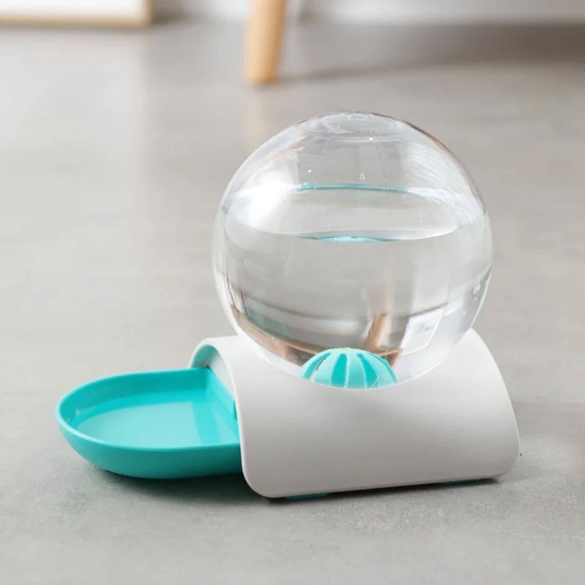 gamelle-eau-chat-bleu-turquoise-blanc