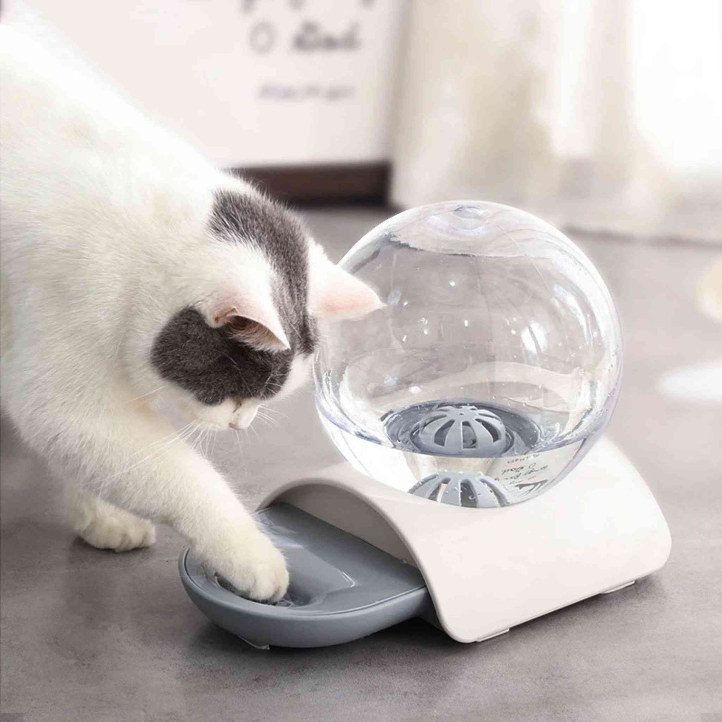 gamelle eau chat | ChatOasis
