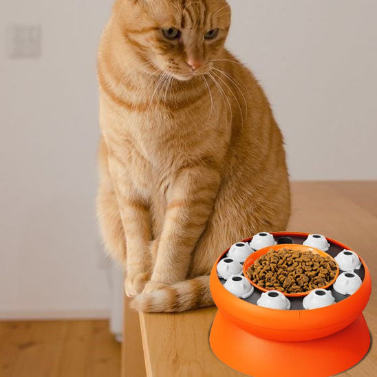 gamelle interactive chat | PUZZLEBOWL