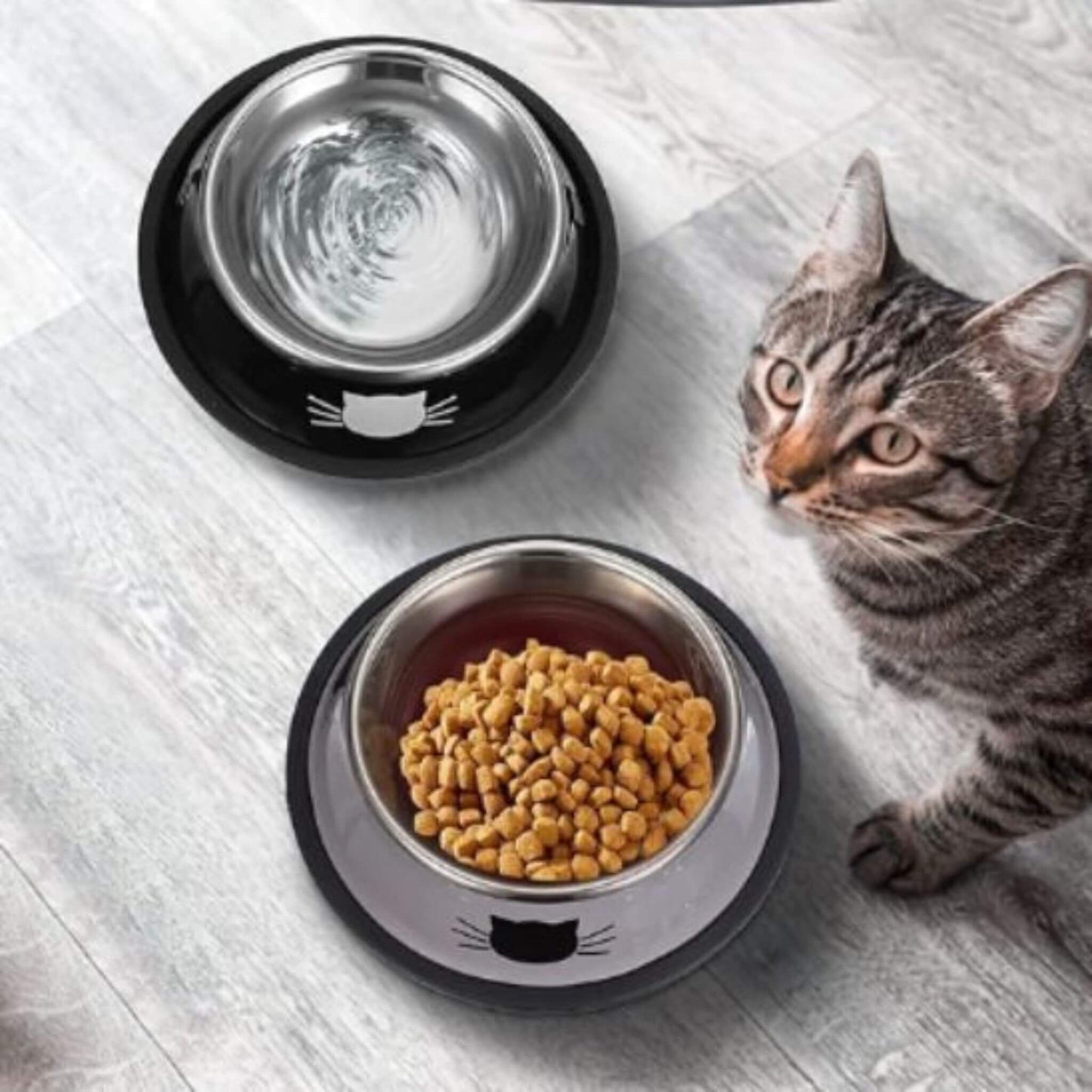 gamelle pour chat | Bol de Ronron