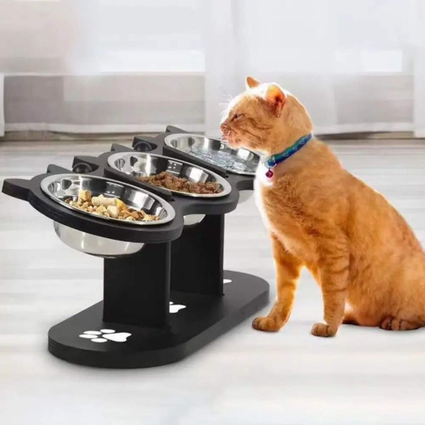 gamelle pour chat | Trio d’Oreilles