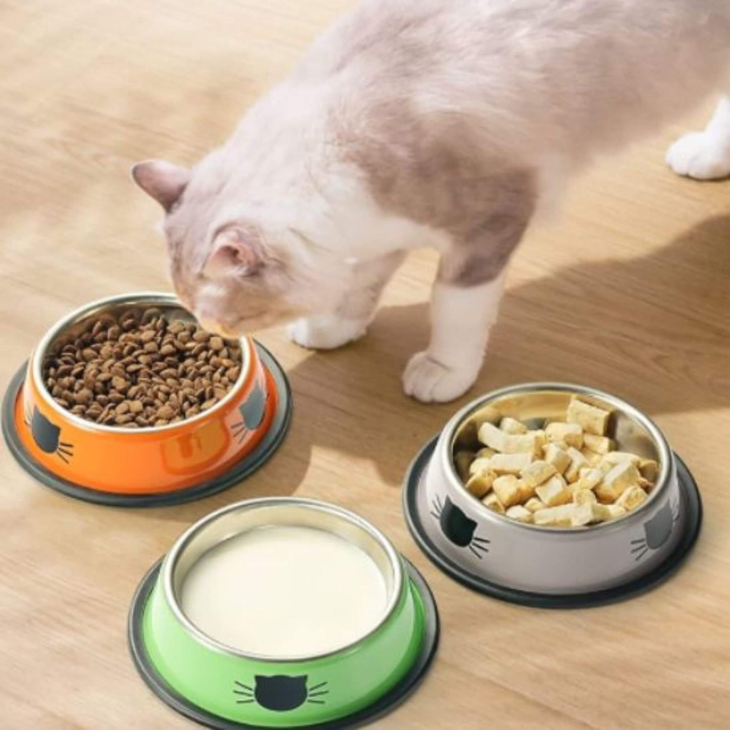 gamelle pour chat | Bol de Ronron