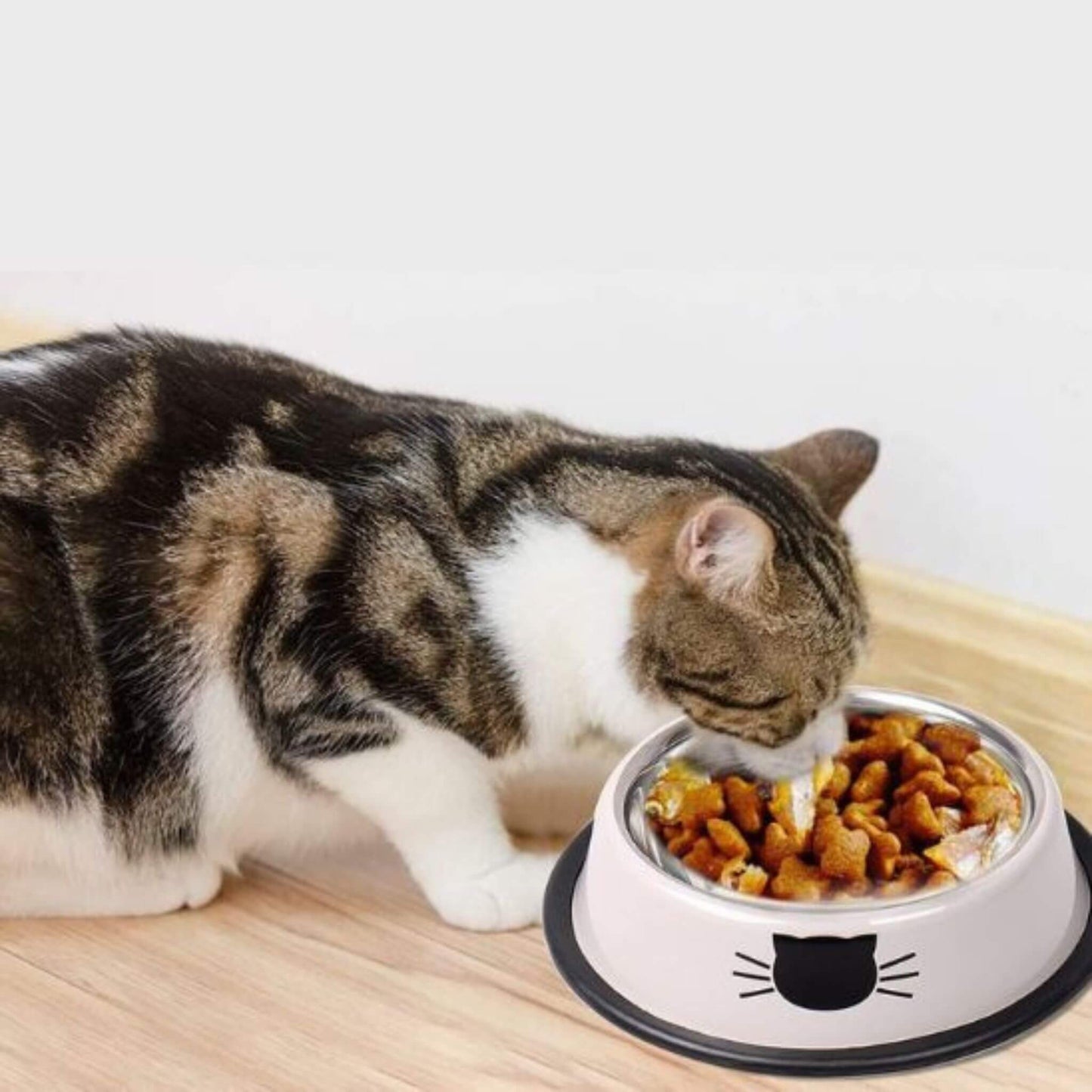 gamelle pour chat | Bol de Ronron
