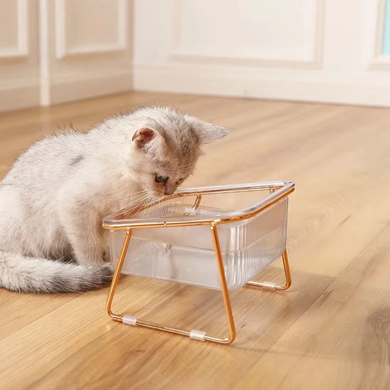 Gamelle pour chat | Surélevée & Chic