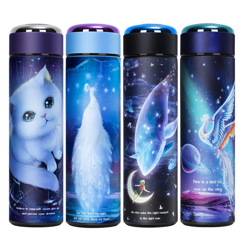 Gourde Inox Chat