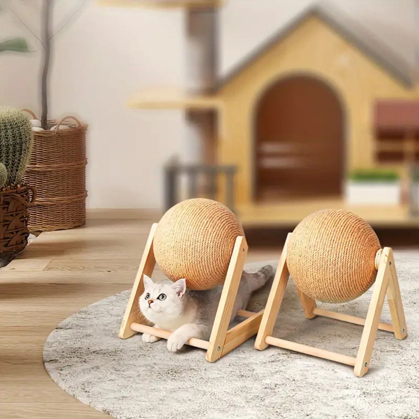 griffoir | BOULE GRIFF'