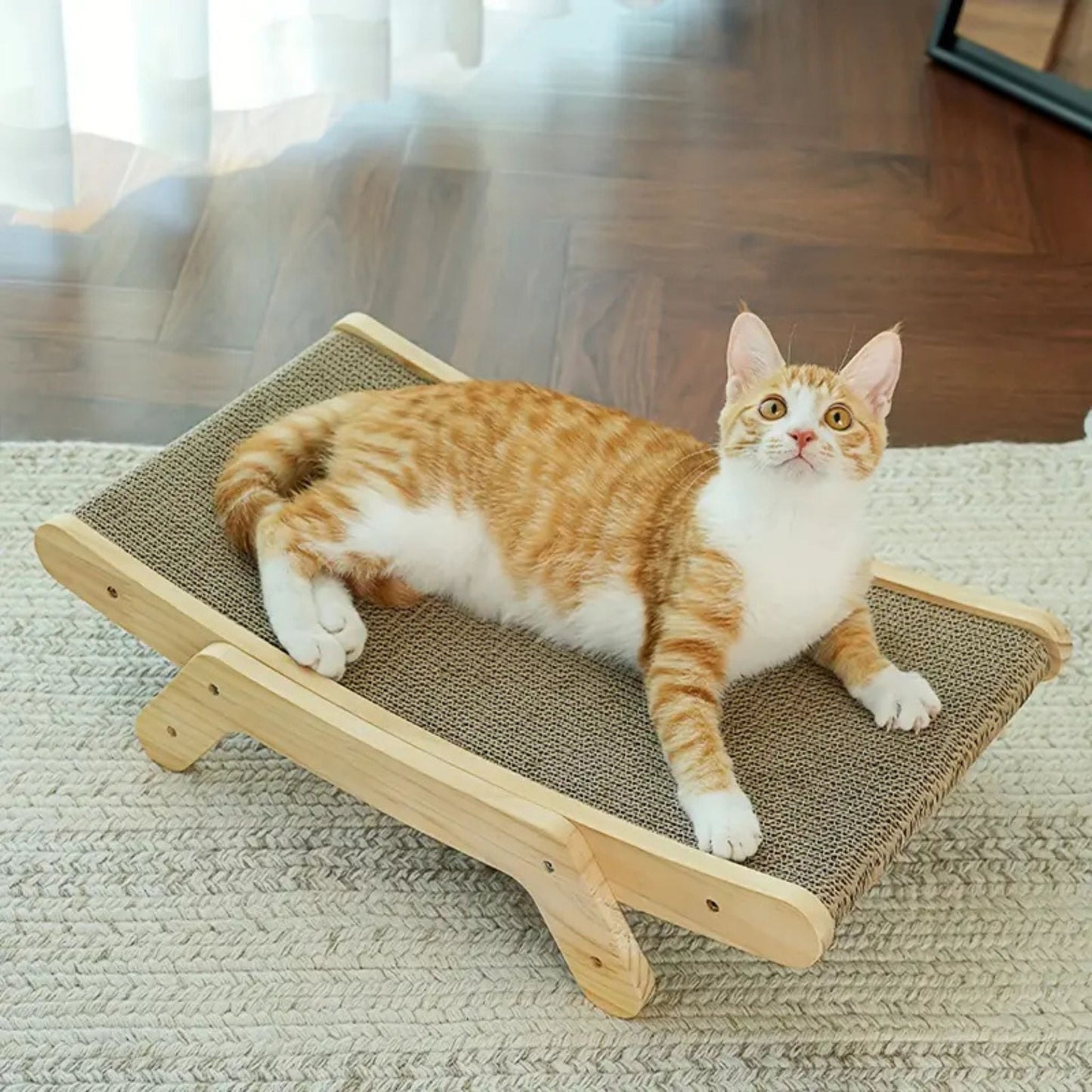 griffoir chat carton | LIT GRIFF'