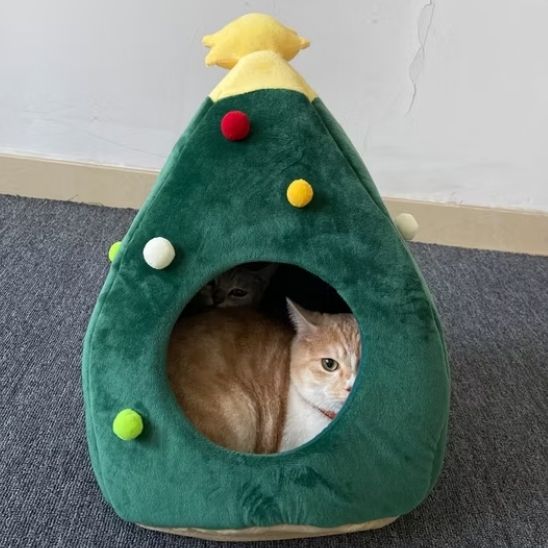 grotte chat | DODOSAPIN