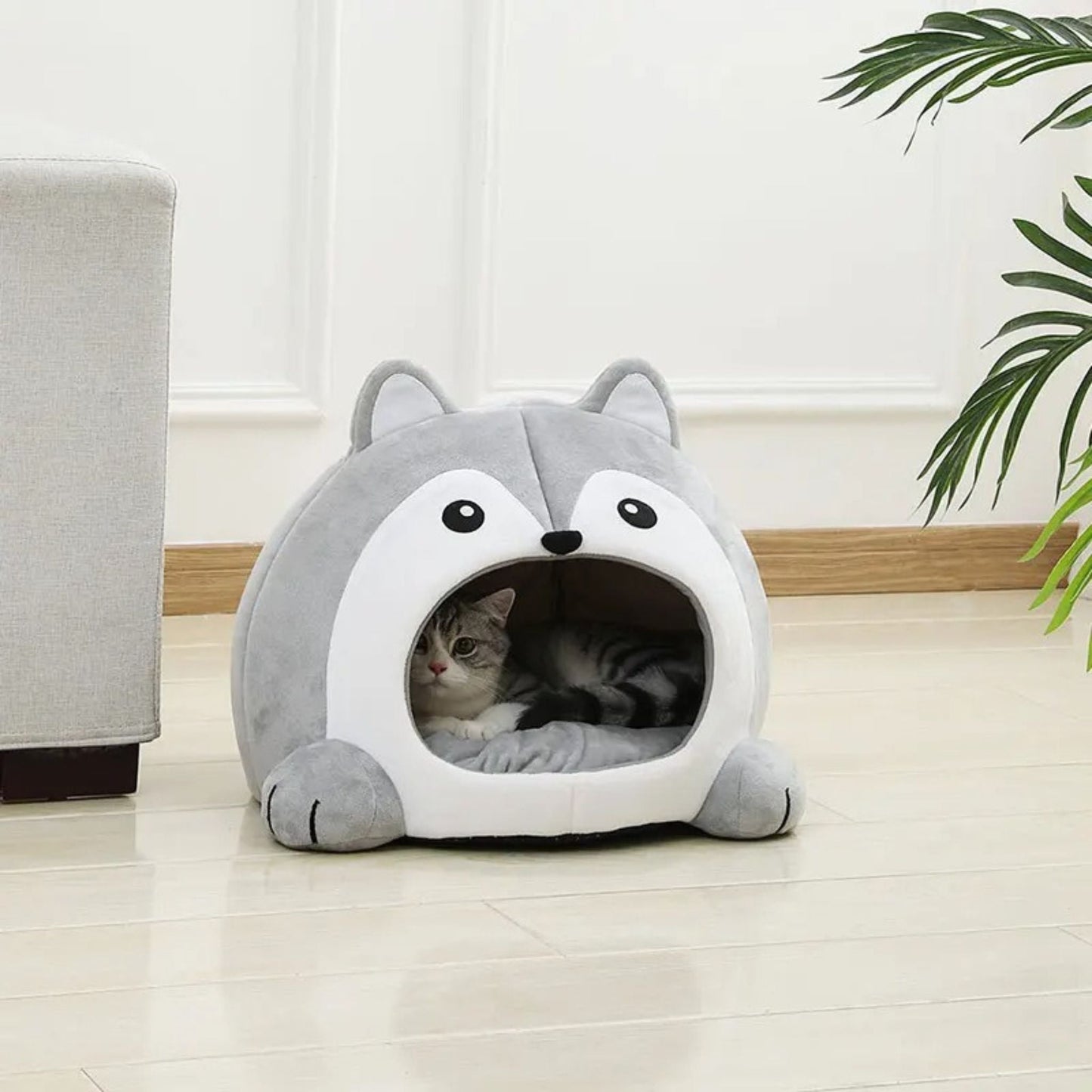 grotte pour chat | DODOLOUP