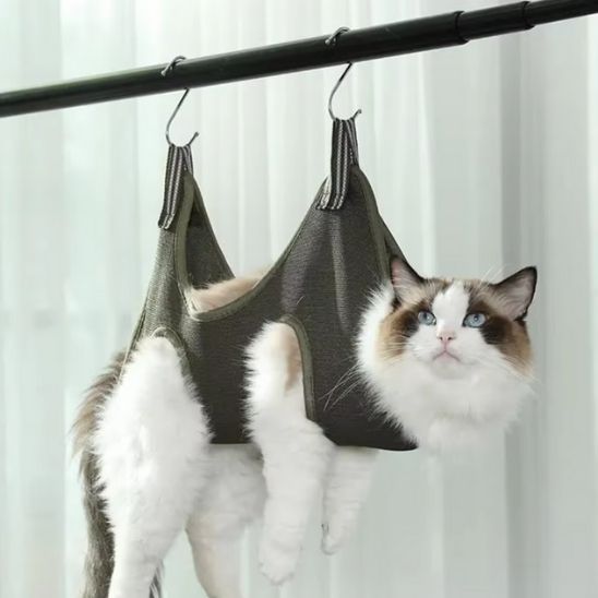 hamac à chat accrocher