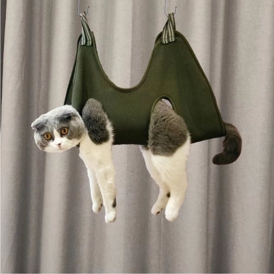 hamac à chat de toilettage