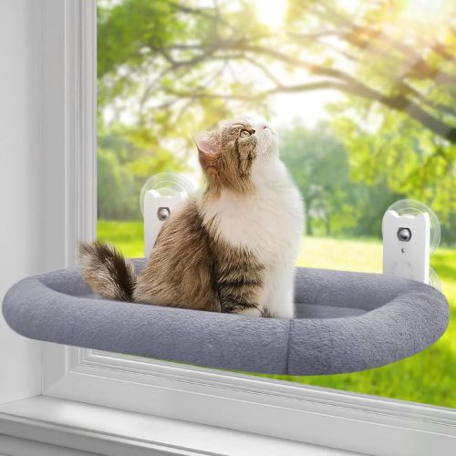 hamac chat fenetre avec coussin