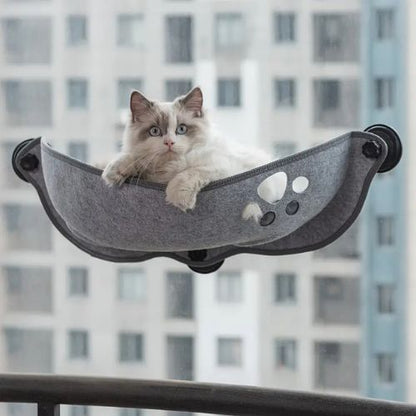 hamac chat fenetre gris