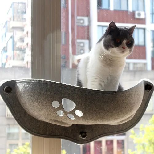 hamac chat fenetre gris