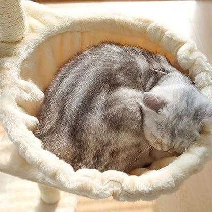hamac pour chat arbre à chat