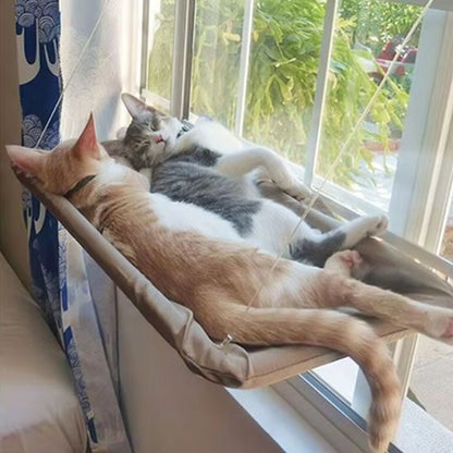 hamac pour chat | HAMAC WINDOW