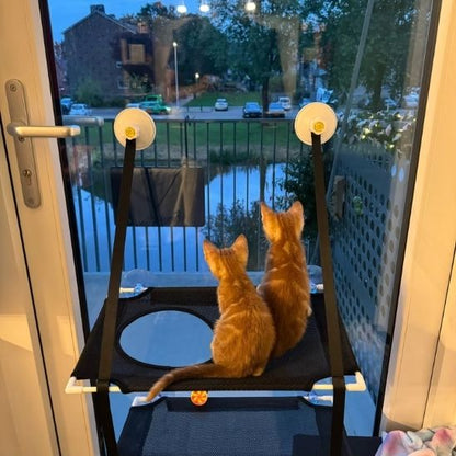 hamac pour chat fenêtre superposé