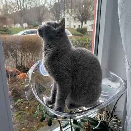 hamac pour chat fenetre transparent