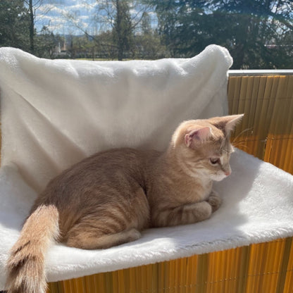 hamac pour chat radiateur | DODOCHO