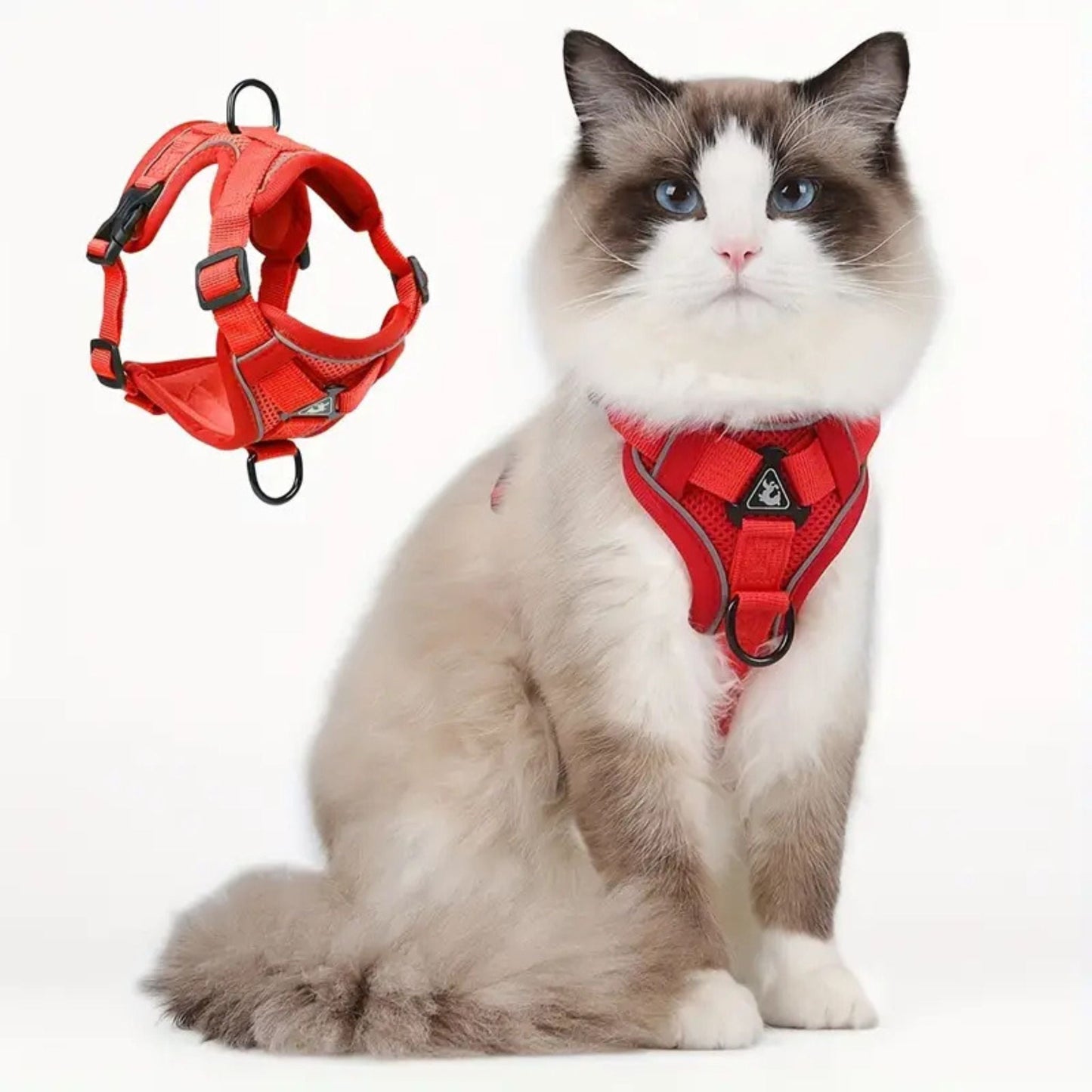 harnais chat anti-fugue | CATWALKS