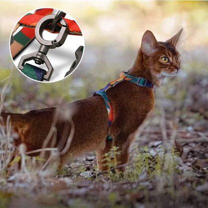 harnais chat multicolore
