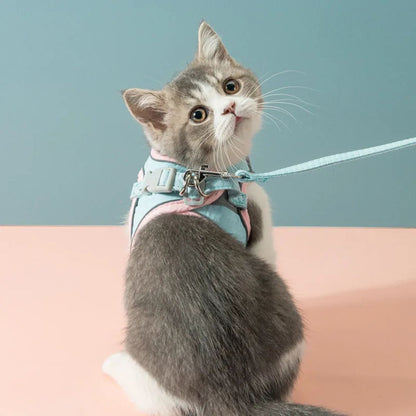 harnais chat | Comfort Harness
