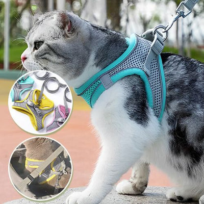 harnais chat anti-fugue| EXPLORER HARNESS
