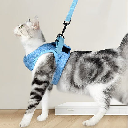 harnais pour chat confortable