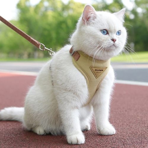 harnais pour chat | LIBERTÉ SÉCURISÉE - Happy minet