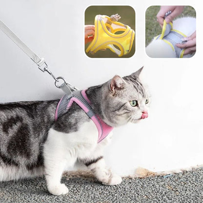 harnais chat anti-fugue| EXPLORER HARNESS