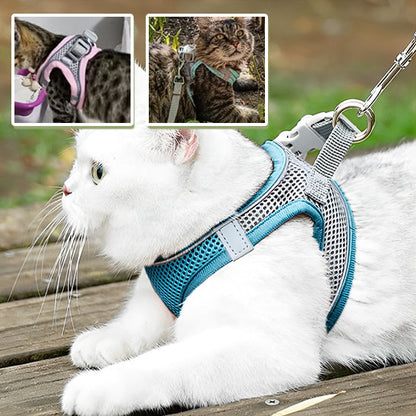 harnais chat anti-fugue| EXPLORER HARNESS