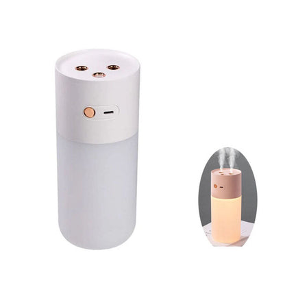 Humidificateur brumisateur rechargeable double buse - RIO