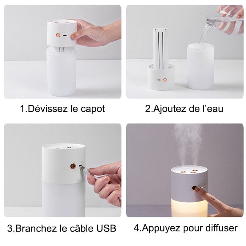 Humidificateur brumisateur rechargeable double buse - RIO