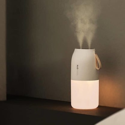 Humidificateur brumisateur rechargeable - SKY