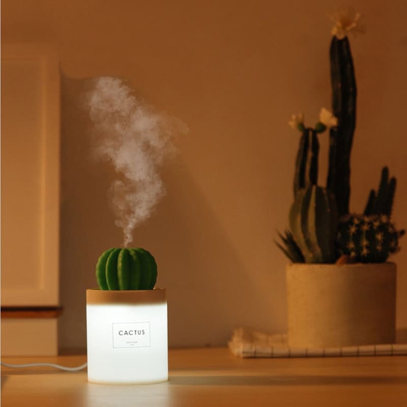 Humidificateur d'air design à vapeur froide - CACTUS