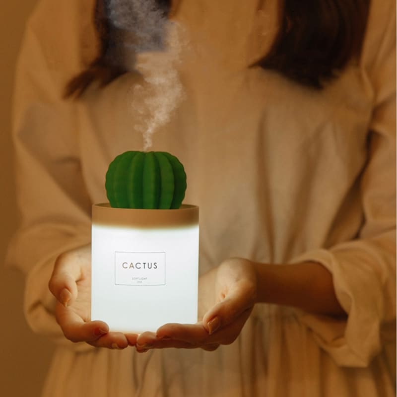 Humidificateur d'air design à vapeur froide - CACTUS