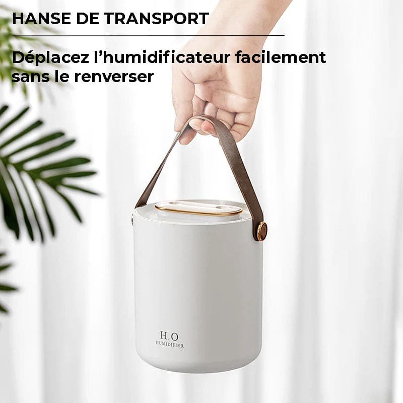 Humidificateur d'air double buse 1200ml - BRUMEA