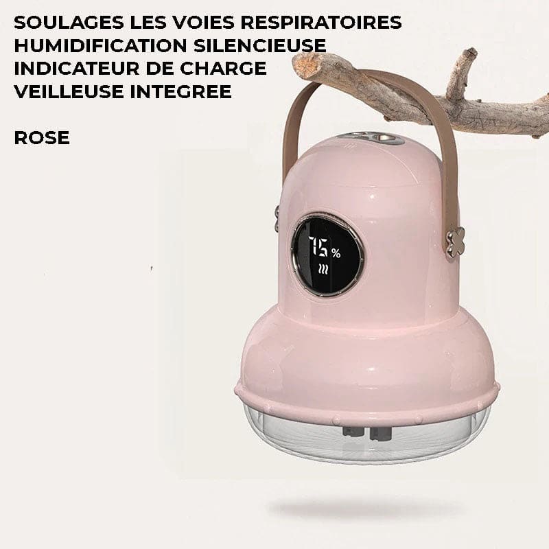 Humidificateur d'air rechargeable à suspendre - ARIXA