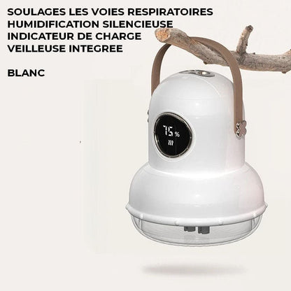Humidificateur d'air rechargeable à suspendre - ARIXA