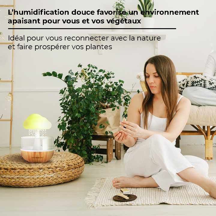 Humidificateur diffuseur huile essentielle fontaine effet pluie - MOOD
