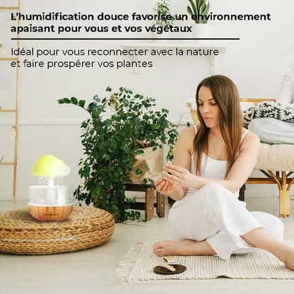 Humidificateur diffuseur huile essentielle fontaine effet pluie - MOOD