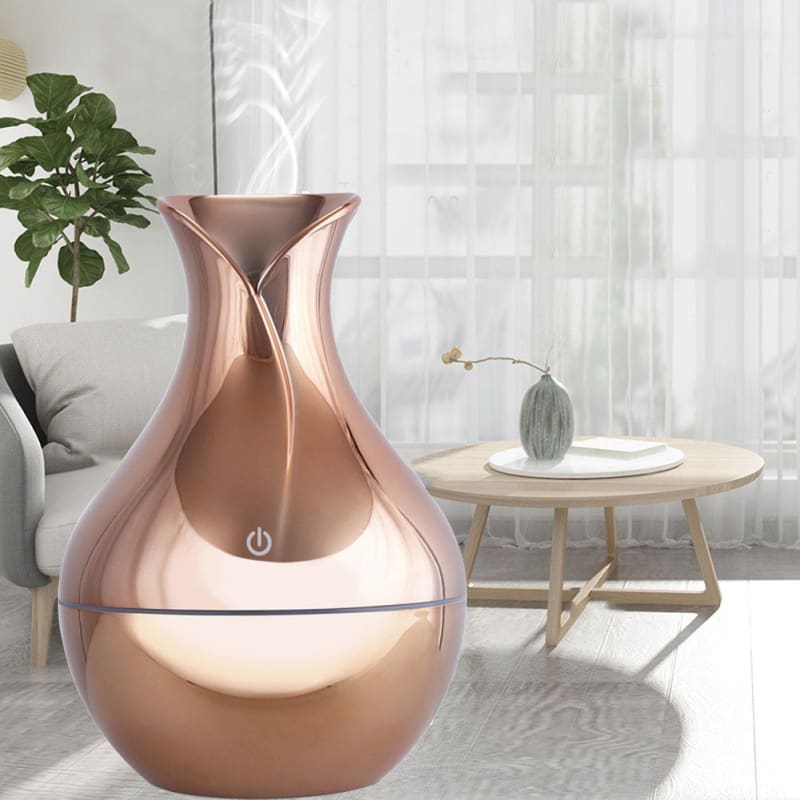 Humidificateur d'air satinée diffuseur HE - ERNEST