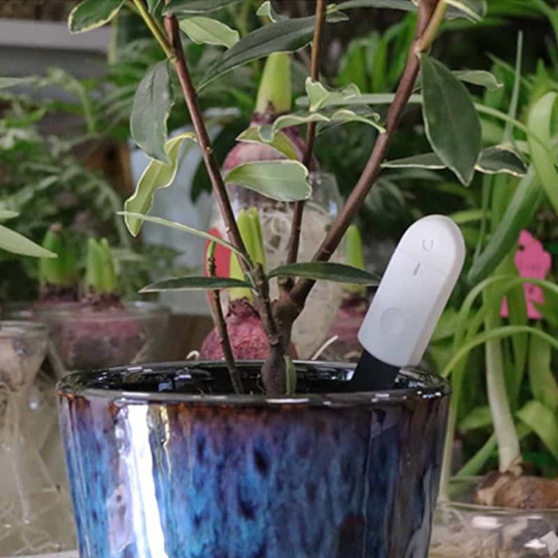 Hygromètre pour plante indicateur LED